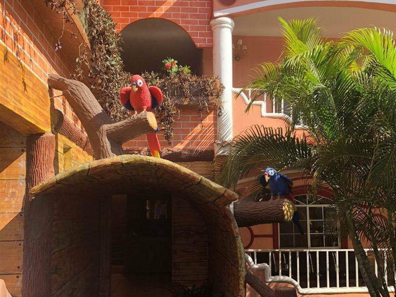 Hotel Residencia Del Sol Gwatemala Zewnętrze zdjęcie